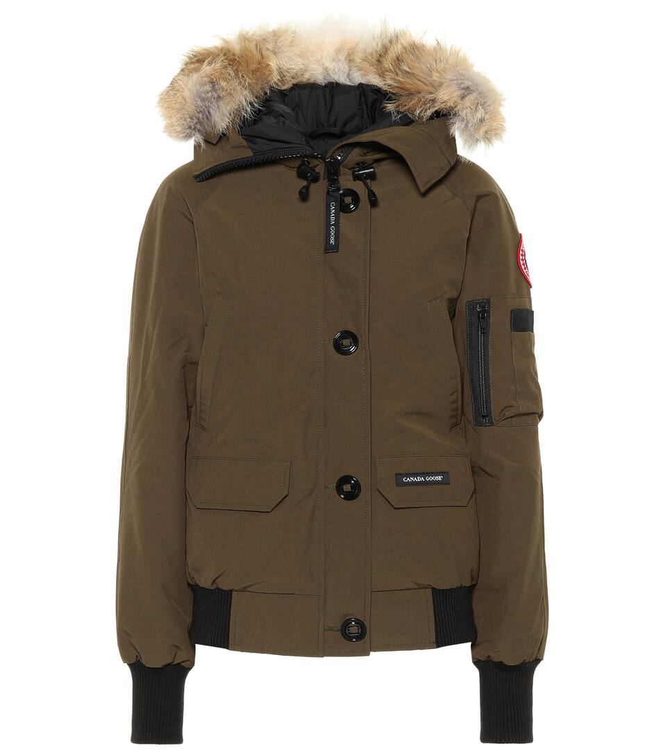 canada goose chilliwack kaki canada goose chilliwack kaki