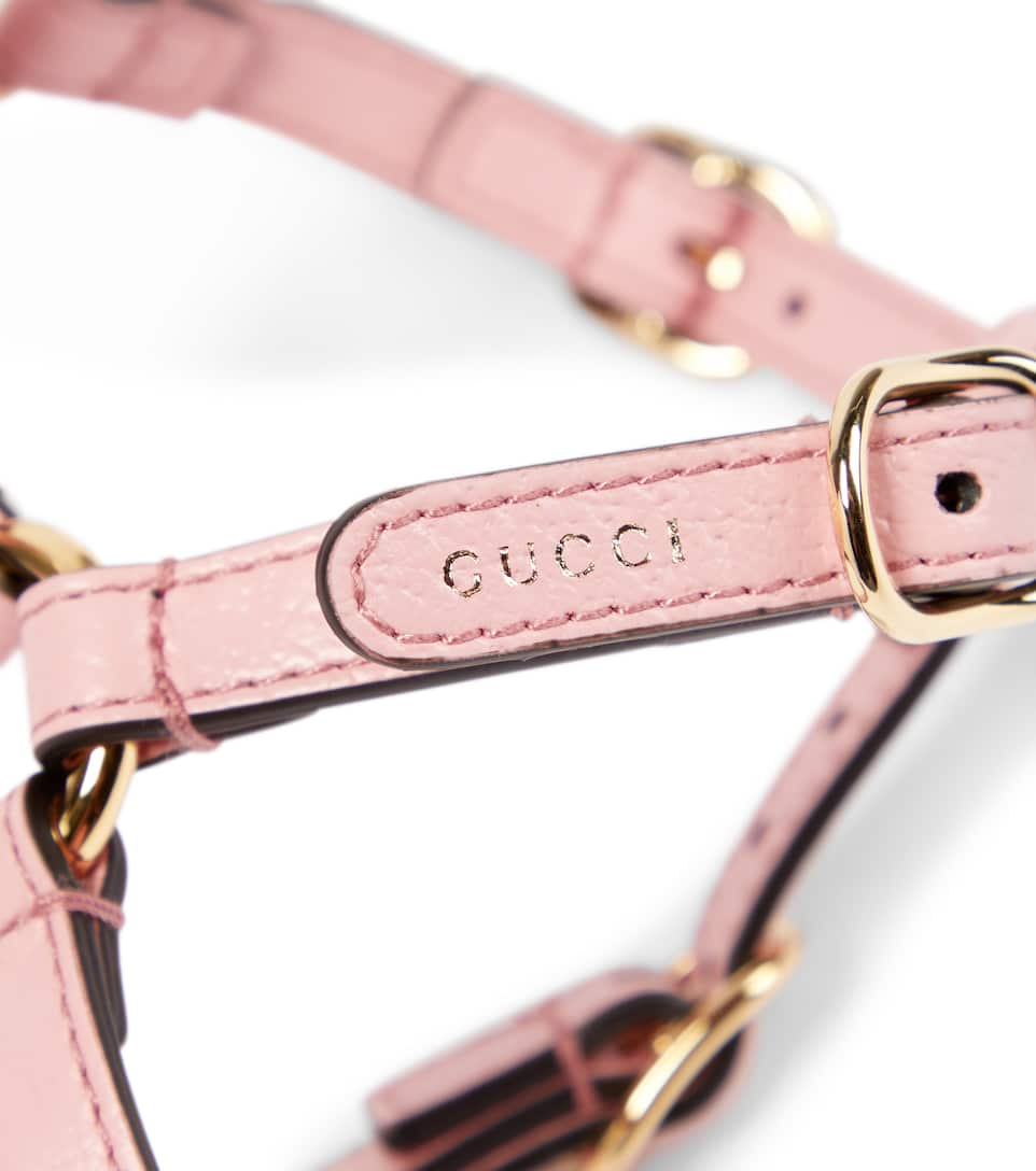 hundegeschirr gucci