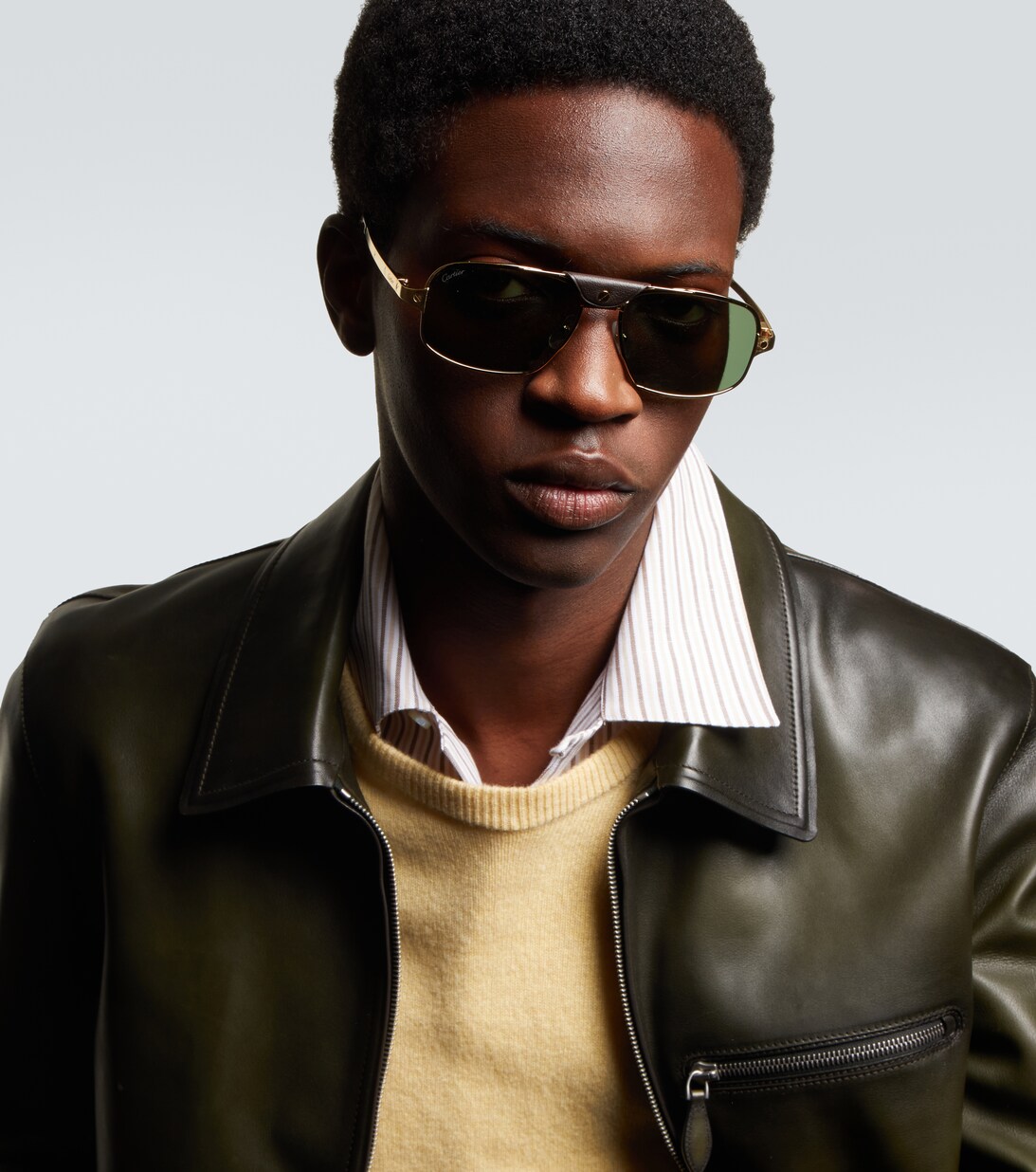 cartier eyewear collection