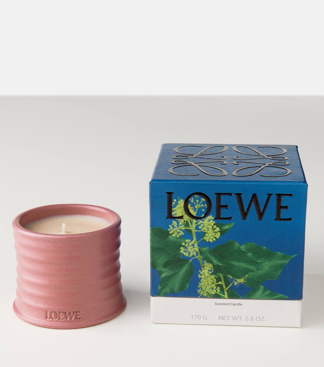 Ivy Small Candle in Pink Loewe Home Scents Mytheresa