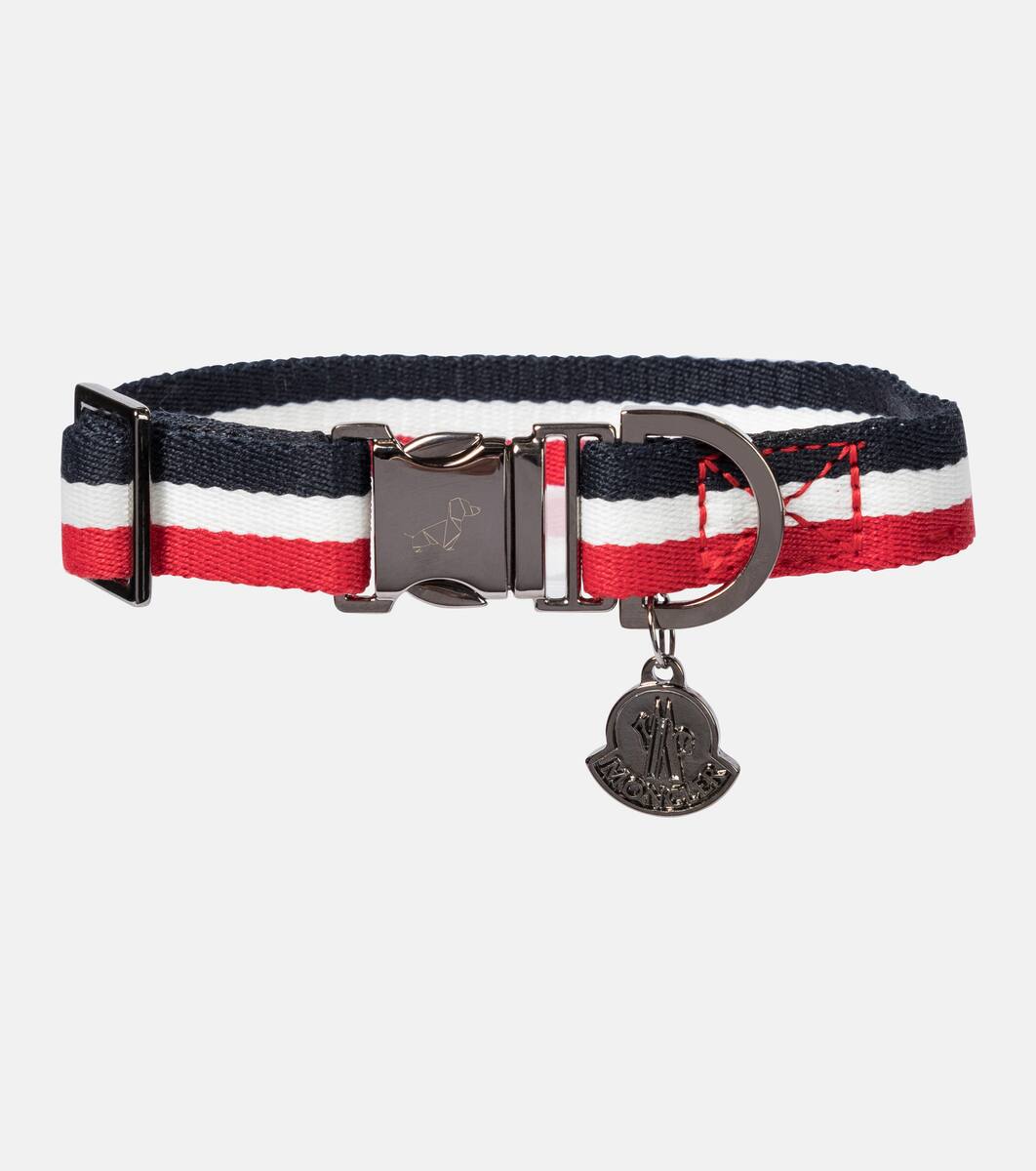 moncler dog collar