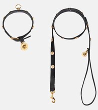 versace dog leash