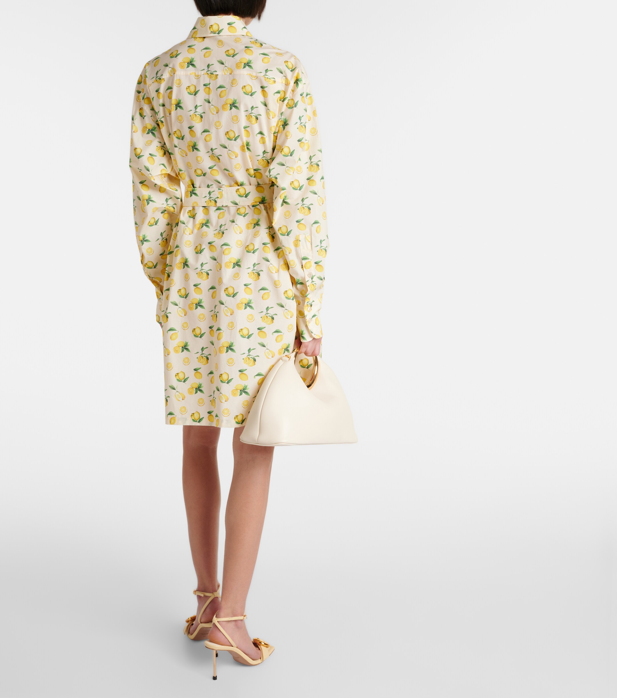Sportmax Boero printed cotton shirt dress