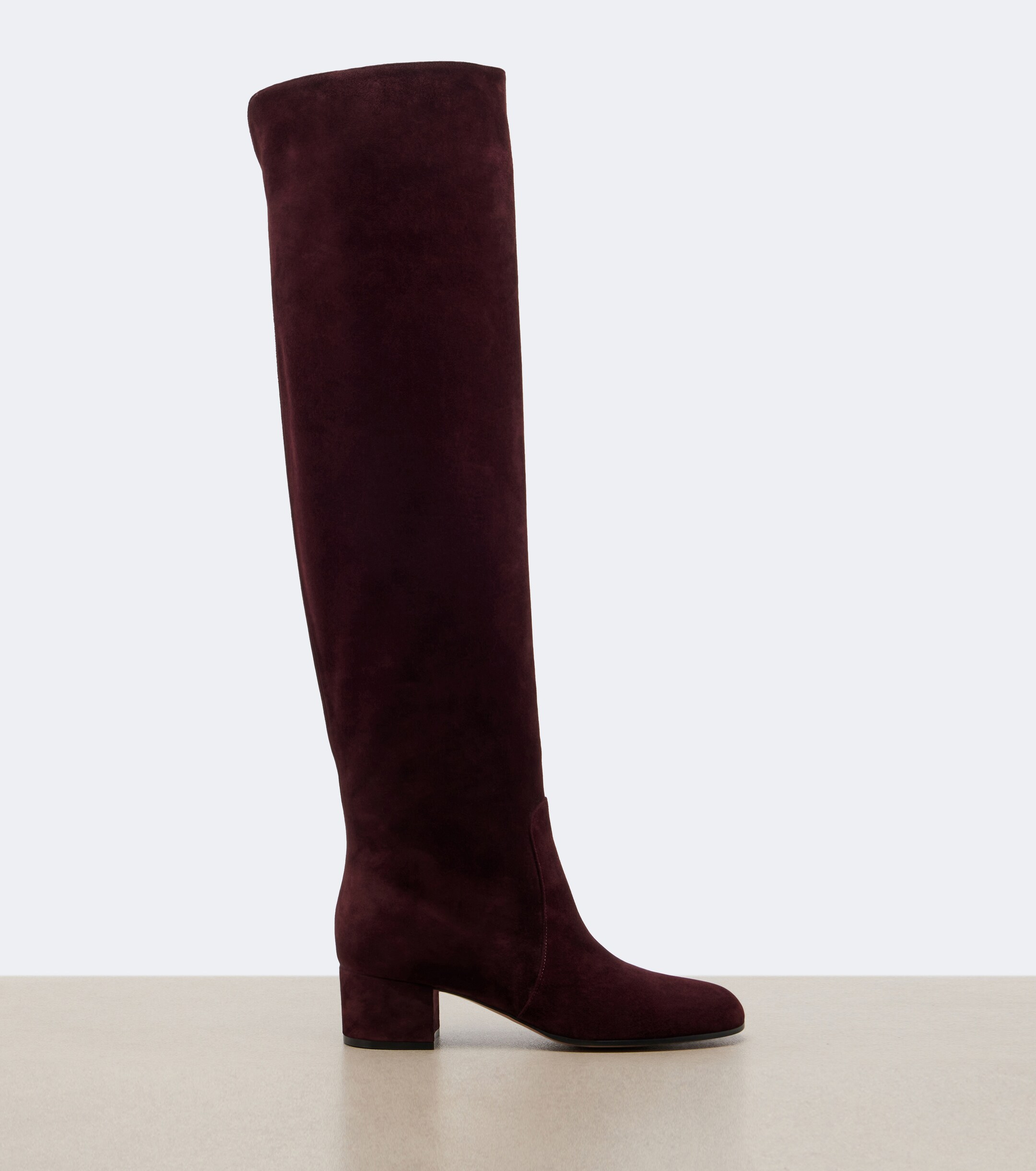 GIANVITO ROSSI Gianvito Rossi Suede knee-high boots