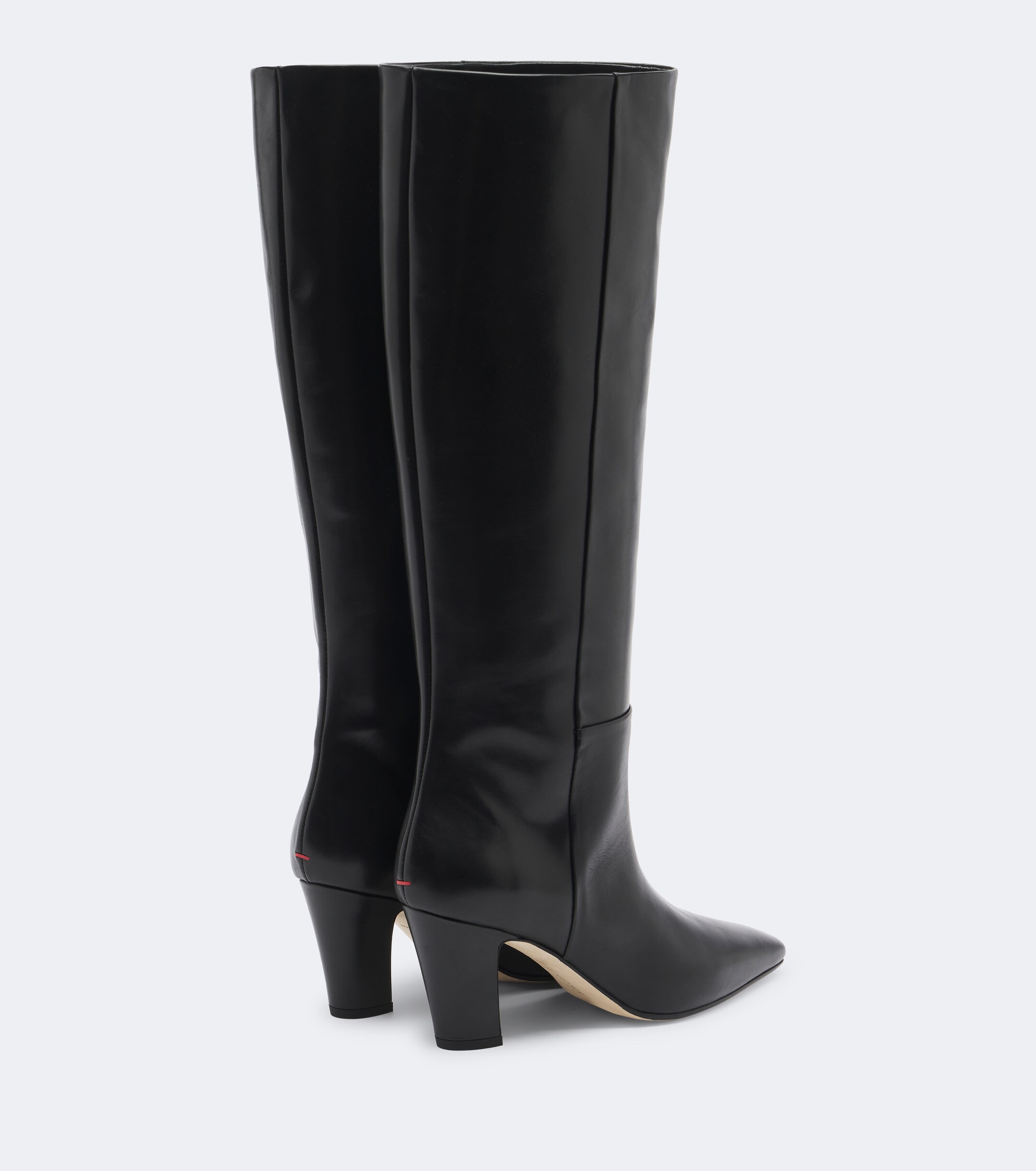 AEYDE Aeyde Silva leather knee-high boots