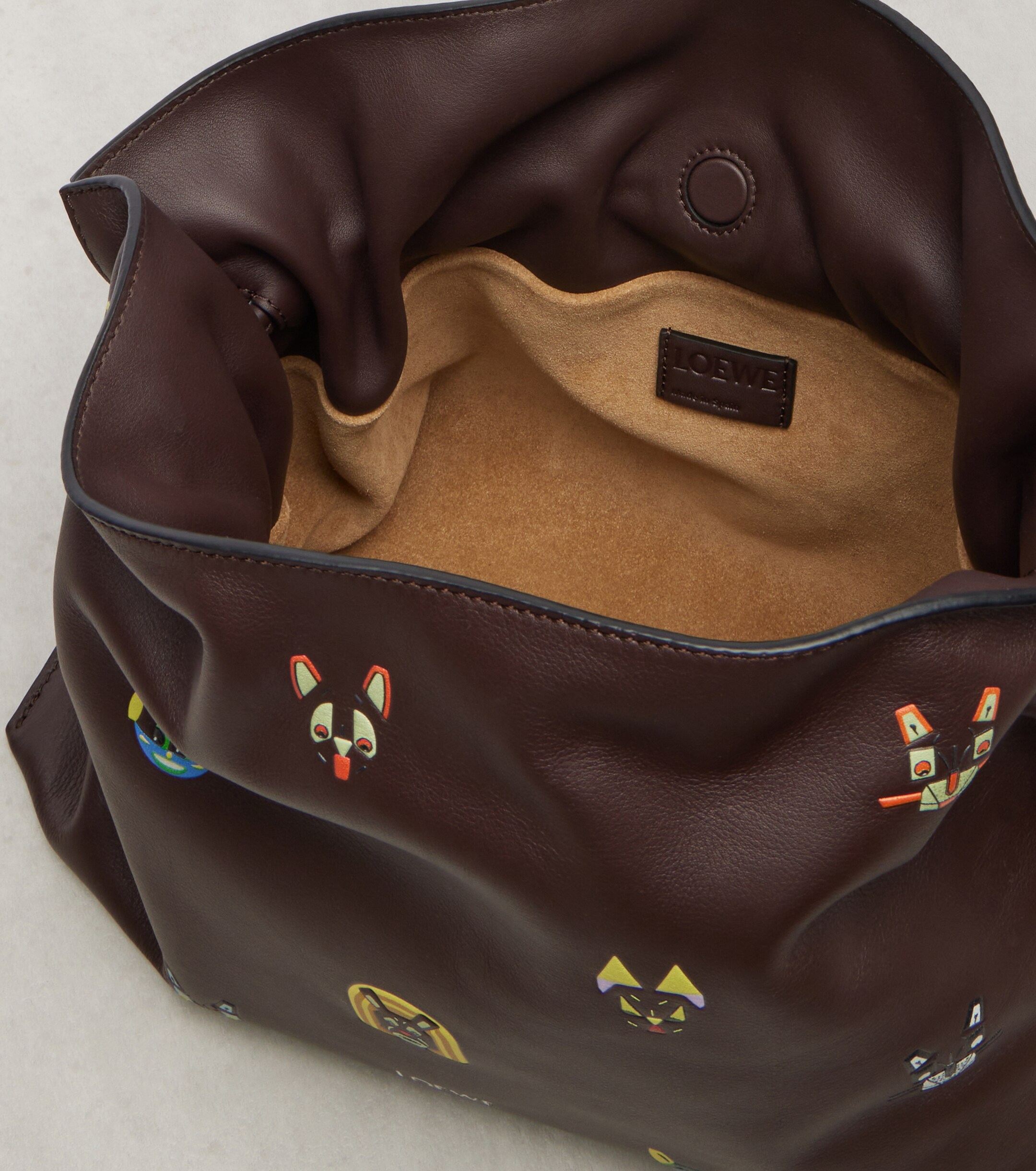 Loewe x Louis Wain Flamenco Medium clutch