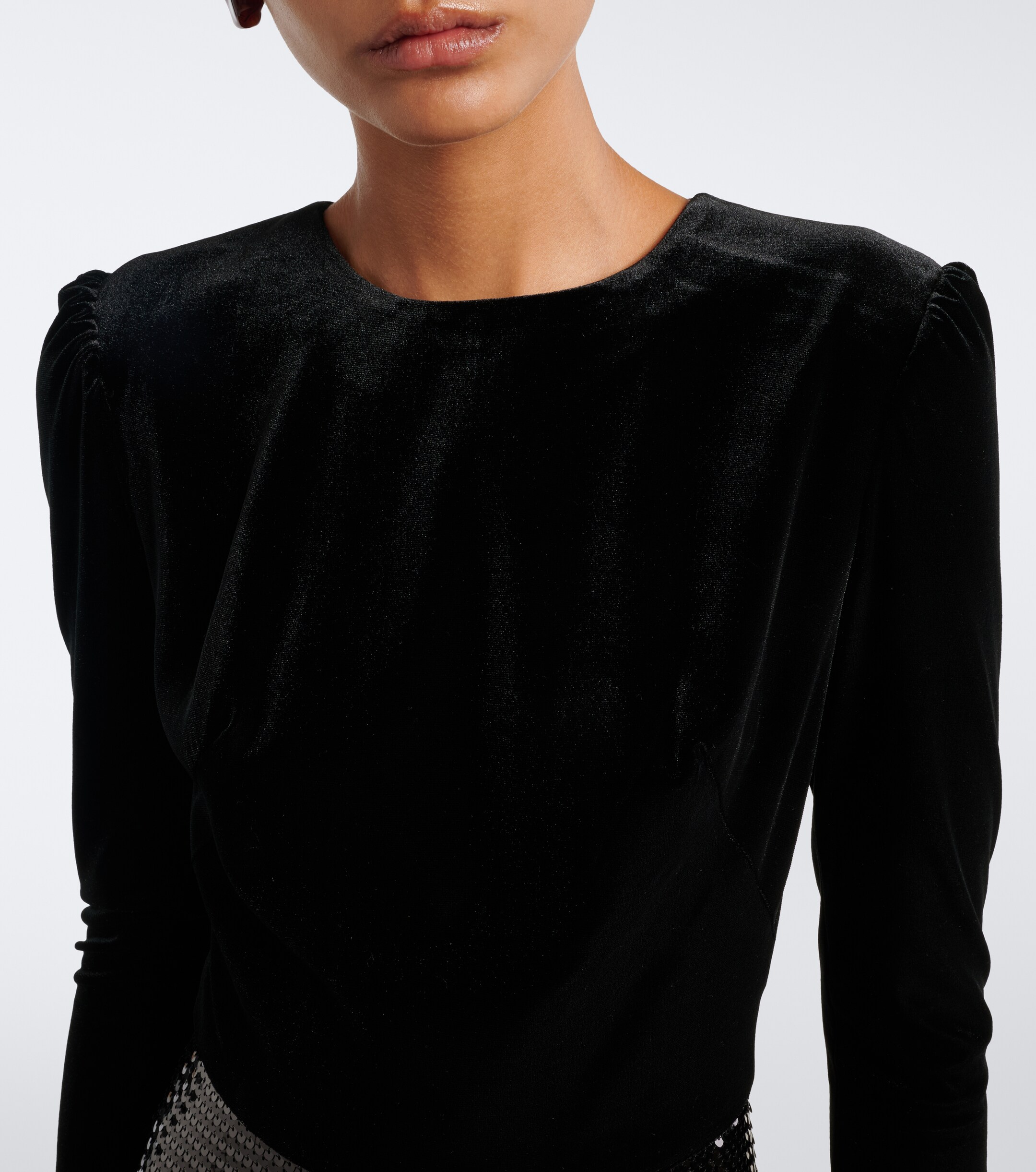 Monique Lhuillier Monique Lhuillier Sequined velvet-paneled gown