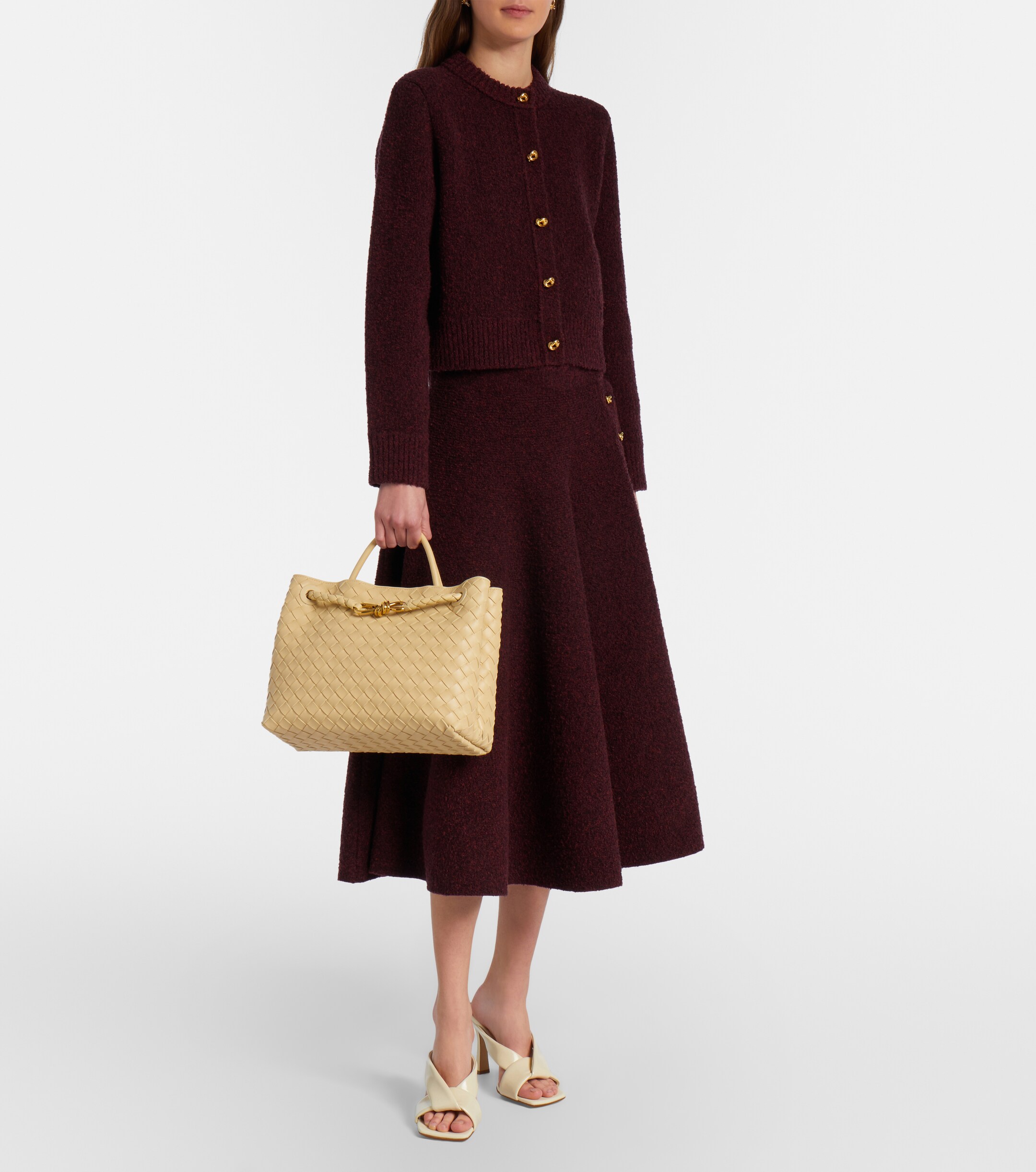 Bottega Veneta Andiamo Medium leather tote bag