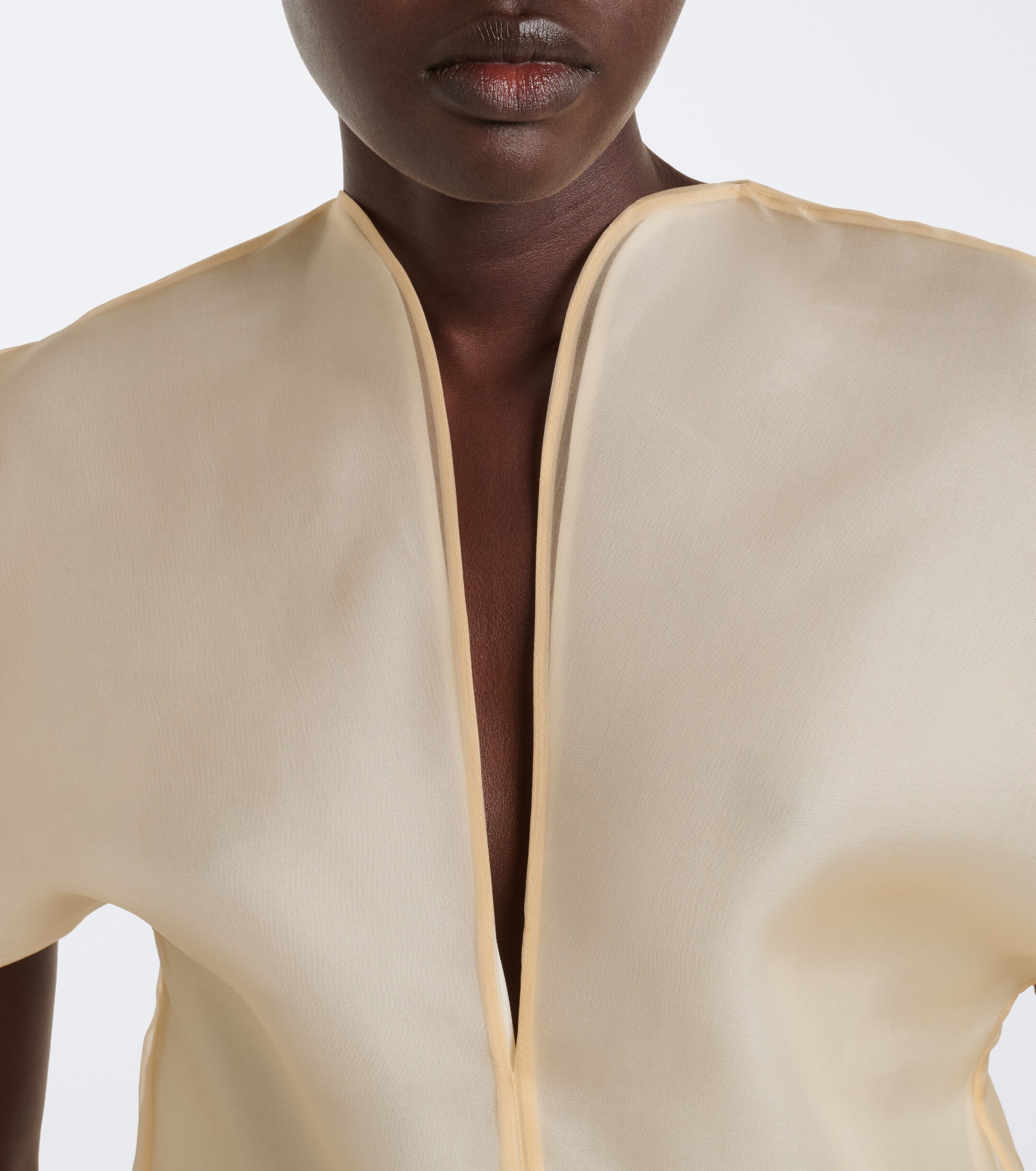 KHAITE Khaite Briar silk organza top