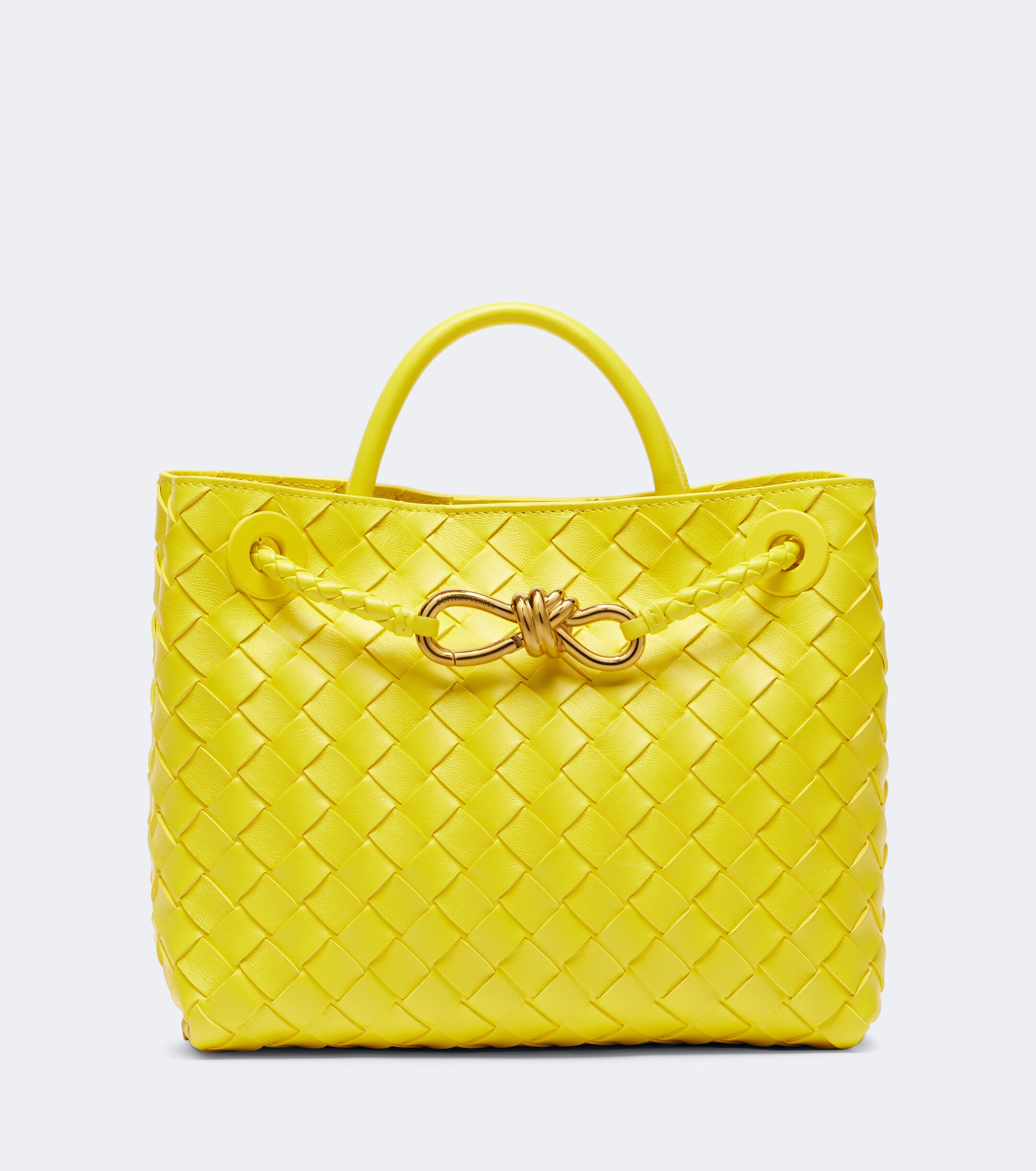 Bottega Veneta Andiamo Small leather tote bag