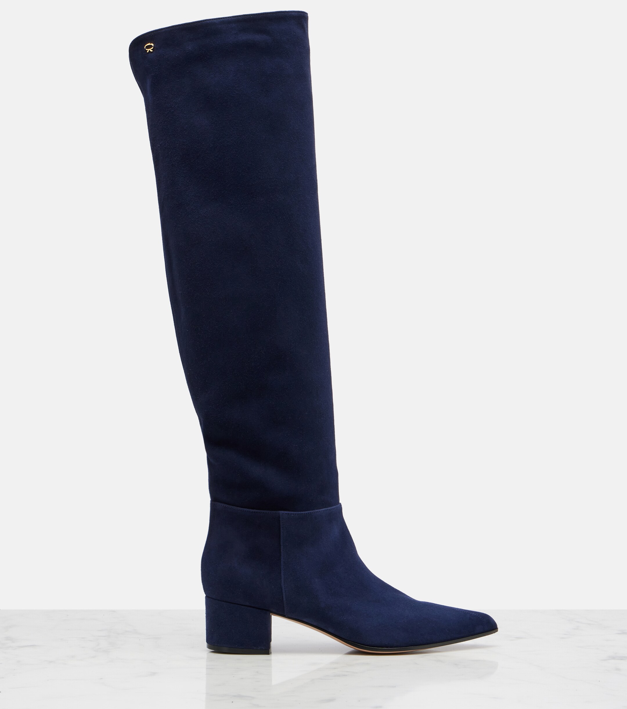 GIANVITO ROSSI Gianvito Rossi Suede knee-high boots
