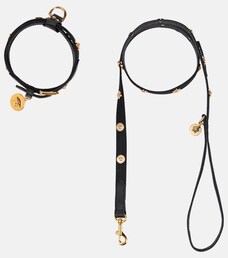 versace dog collar