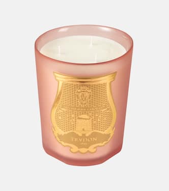 Tuileries Intermezzo candle | Trudon