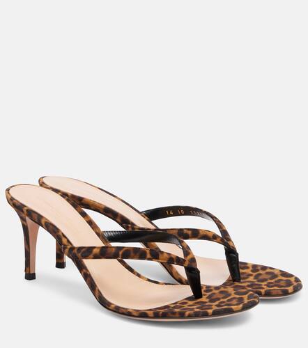 Calypso 70 suede thong sandals - Gianvito Rossi - Modalova