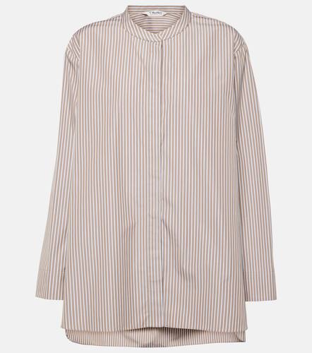 Camicia Rondine in popeline di cotone - 'S Max Mara - Modalova