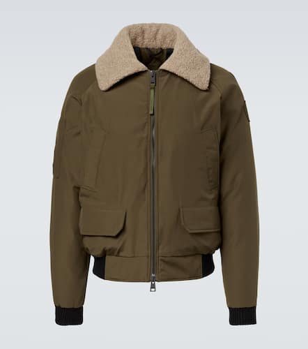 Chilliwack down bomber jacket - Canada Goose - Modalova