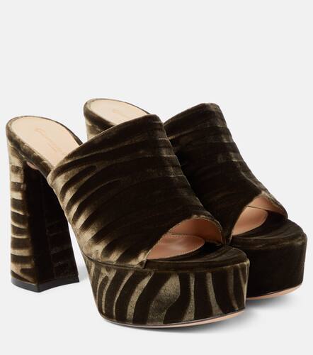 Holly zebra-print platform mules - Gianvito Rossi - Modalova