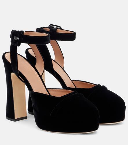 Mora 125 velvet platform pumps - Malone Souliers - Modalova