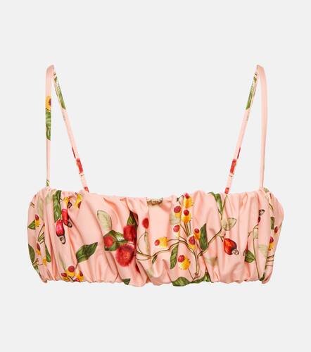Eneldo printed bikini top - Agua by Agua Bendita - Modalova