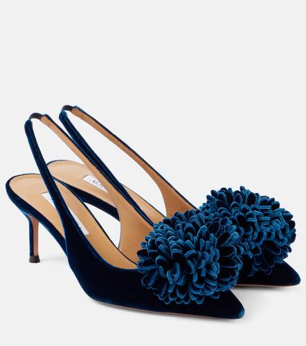 Couturier 65 velvet slingback pumps - Aquazzura - Modalova