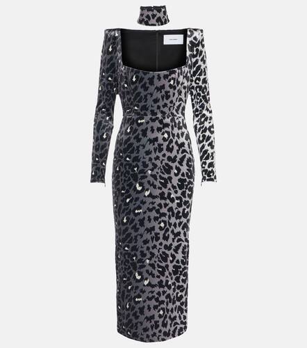 Leopard-print velvet midi dress - Alex Perry - Modalova