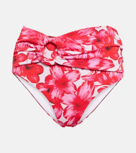 Dorit floral bikini bottoms - Alexandra Miro - Modalova