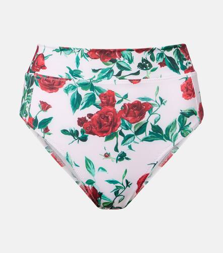 Ines floral bikini bottoms - Alexandra Miro - Modalova