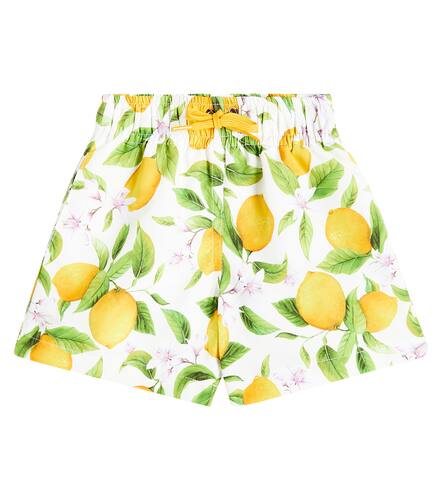 Short de bain Zader imprim - Suncracy - Modalova