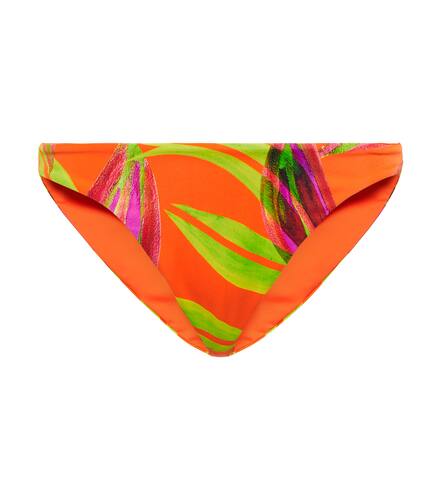 Printed bikini bottoms - Louisa Ballou - Modalova