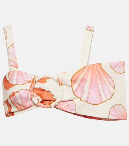 【Adriana Degreas】 Seashellプリントコットンブラトップ Seashell printed cotton bra top in multicoloured - Adriana