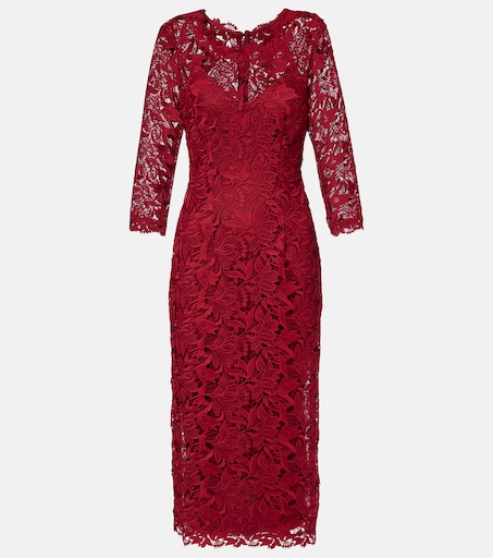 Lace midi dress in burgundy - Carolina Herrera | Mytheresa