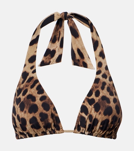 Leopard-print triangle bikini top in brown - Dolce Gabbana | Mytheresa