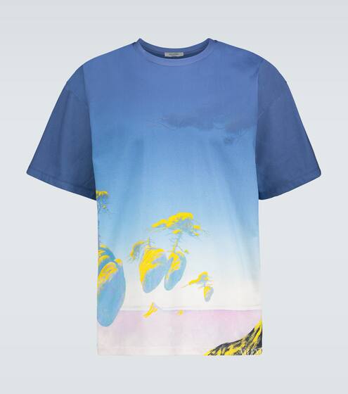 Floating Islands cotton T-shirt | Valentino