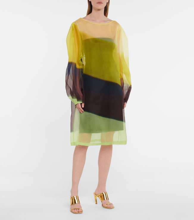 Dries Van Noten Striped silk organza midi dress