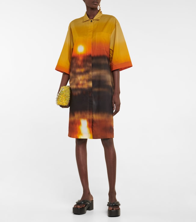 Dries Van Noten Printed cotton shirt dress