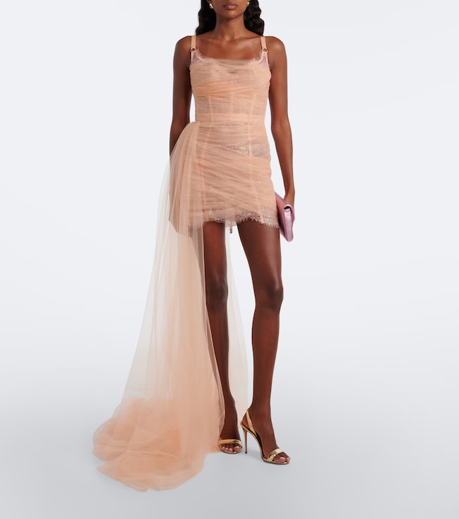 Maria Lucia Hohan Elsinora tulle corset minidress