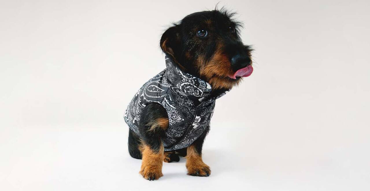 900+ Dee Su Tazze D Porcellana Nel 2021 | Tazze, Porcellana, Tazze Da Tè